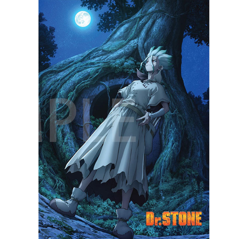 Dr.STONE 新石紀