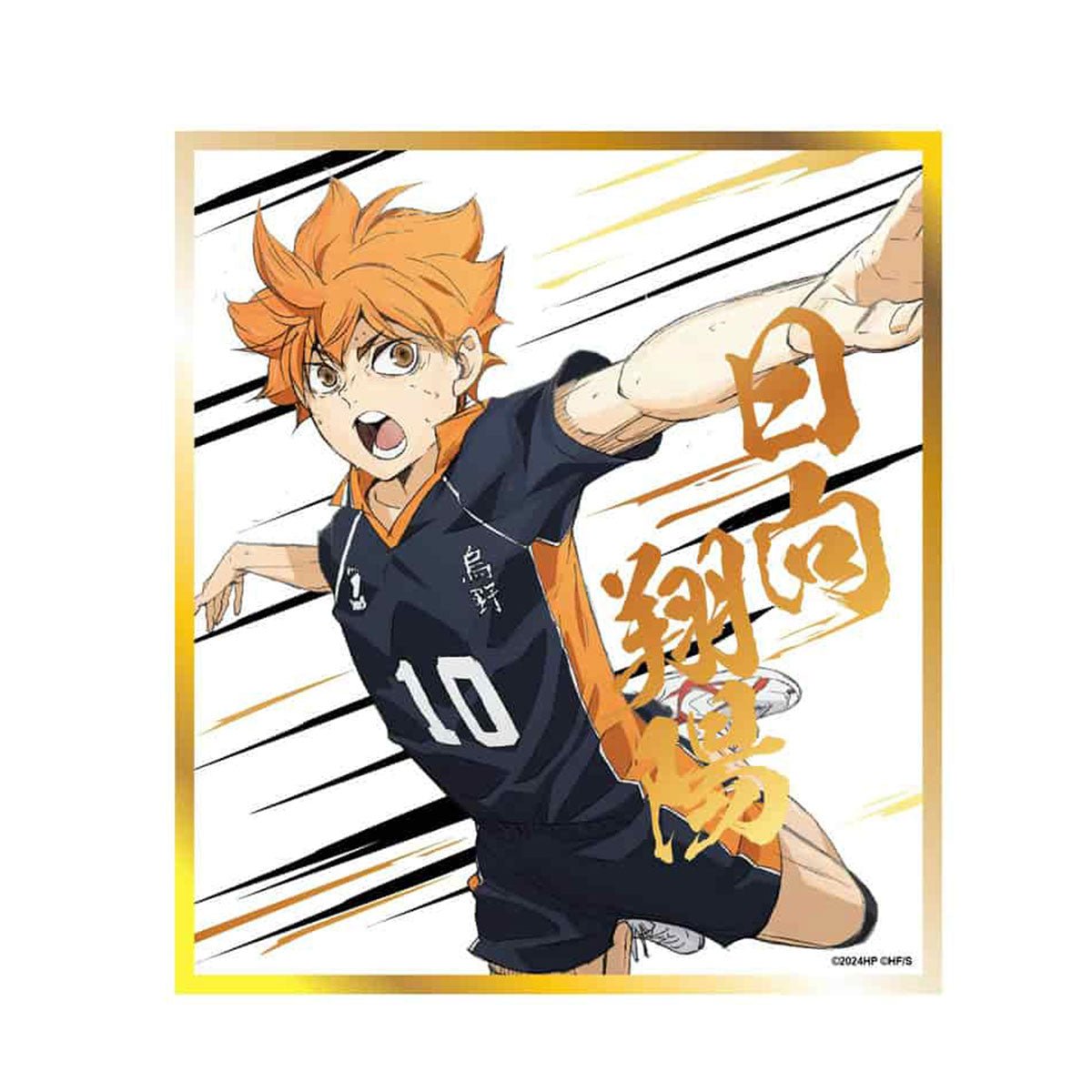 劇場版 排球少年!! 角色色紙 日向翔陽 - Microworks ACG
