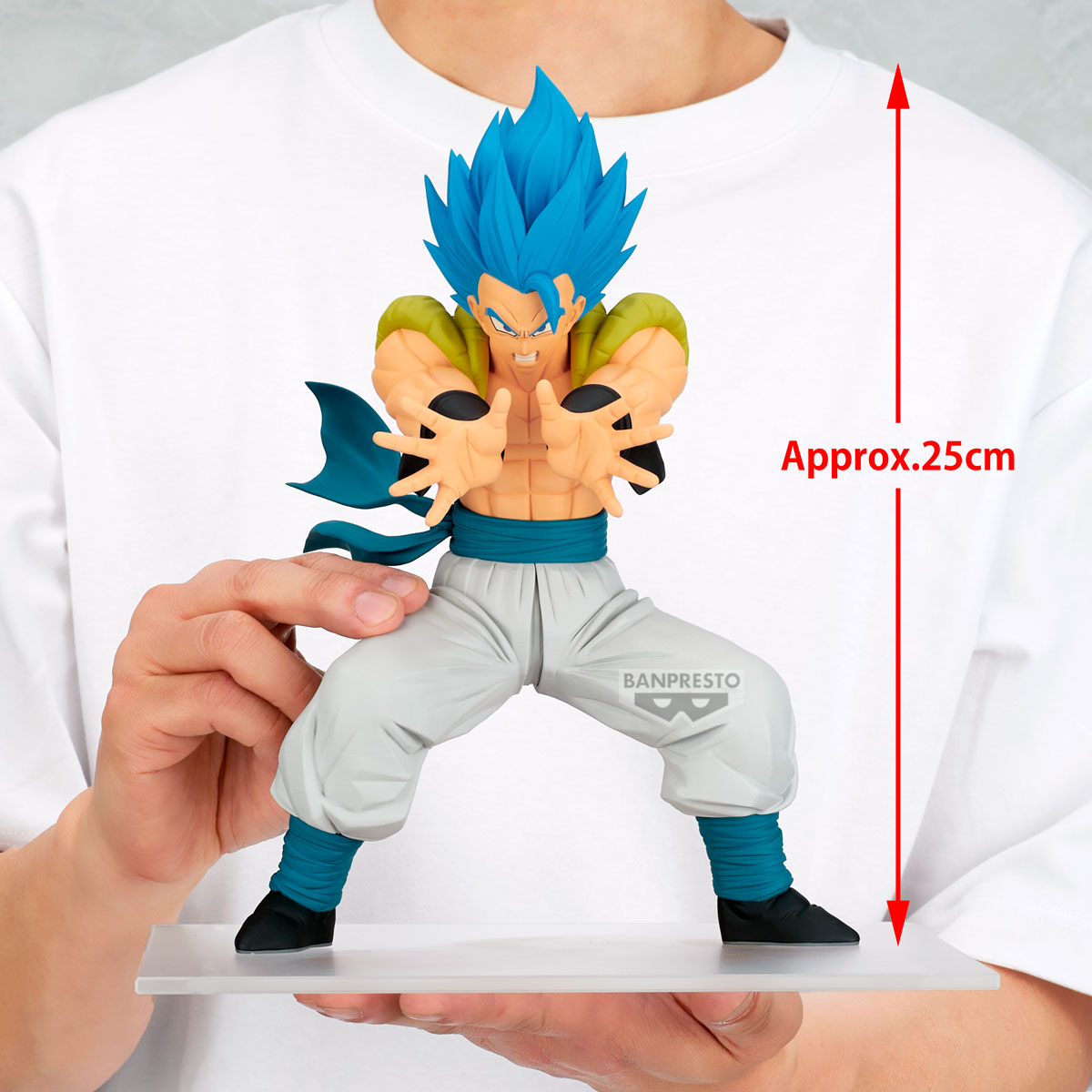 《預訂》Banpresto [GRANDISTA] 龍珠Z 格比達 第二彈