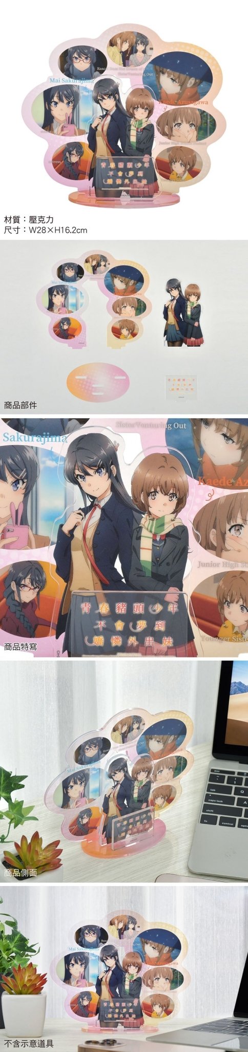 青春豬頭少年 壓克力回憶組(大) A款 學姊+妹妹 - Microworks ACG