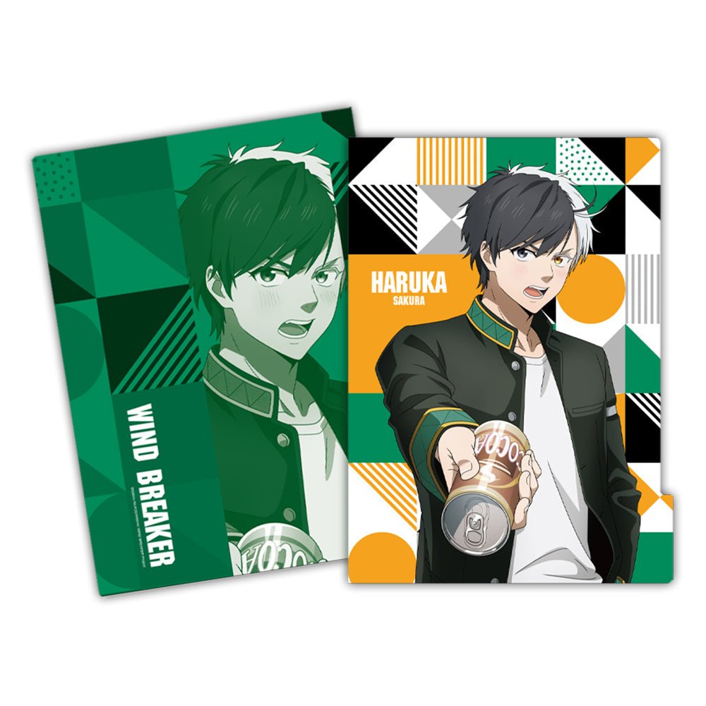 防風少年 五層資料夾 B款 櫻遙 - Microworks ACG