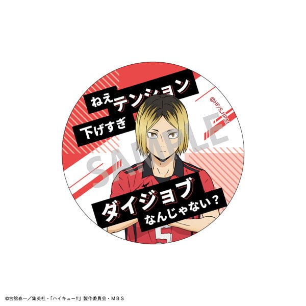 排球少年!! 名台詞襟章 [盲抽] (共7款) - Microworks ACG