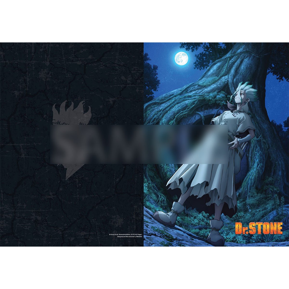 Dr.STONE 新石紀 A4文件夾 石神千空 - Microworks ACG