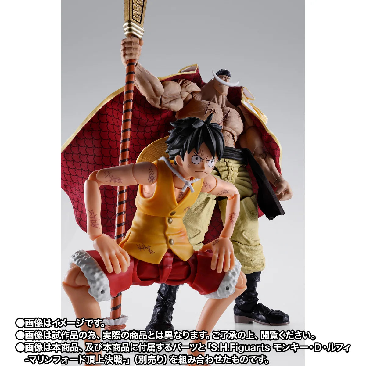 《預訂》Bandai[魂SHOP限定] SHF 愛德華·紐歌特 (白鬍子) -瑪林科特頂上決戰-