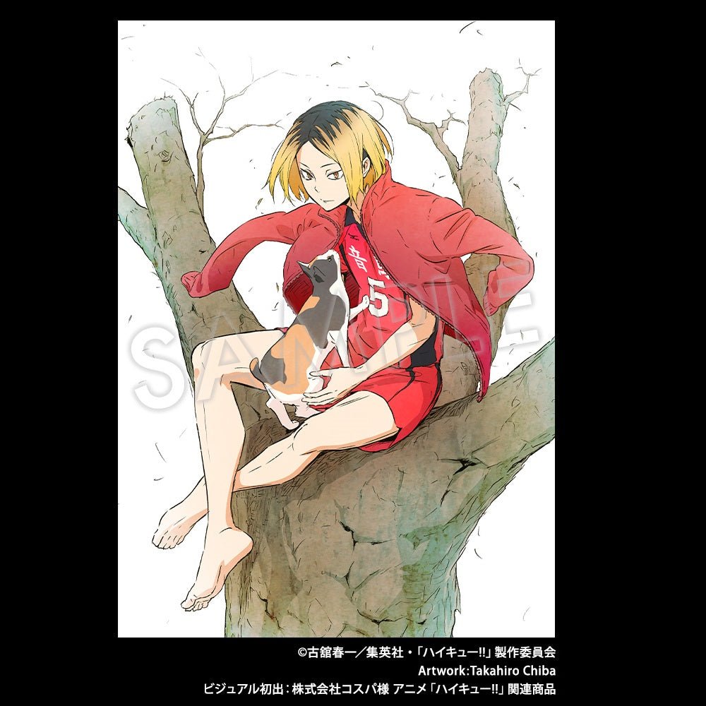 Kotobukiya 壽屋 [Artfx J] 《排球少年!!》 孤爪研磨 1/8比例人像 - Microworks ACG