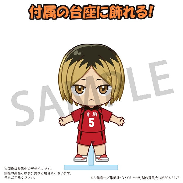 SEGA Prize[Acrylic Doll]《排球少年》孤爪研磨