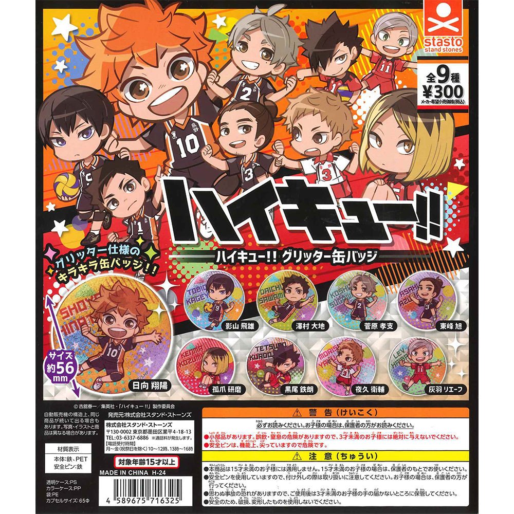 Stasto Stand Stones 扭蛋 排球少年!! 閃亮襟章 - Microworks ACG