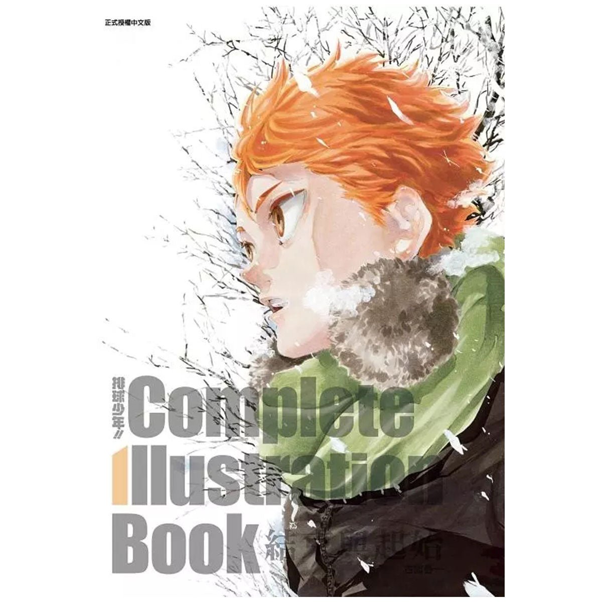 排球少年!! Complete Illustration Book: 結束與起始 (全) - Microworks ACG