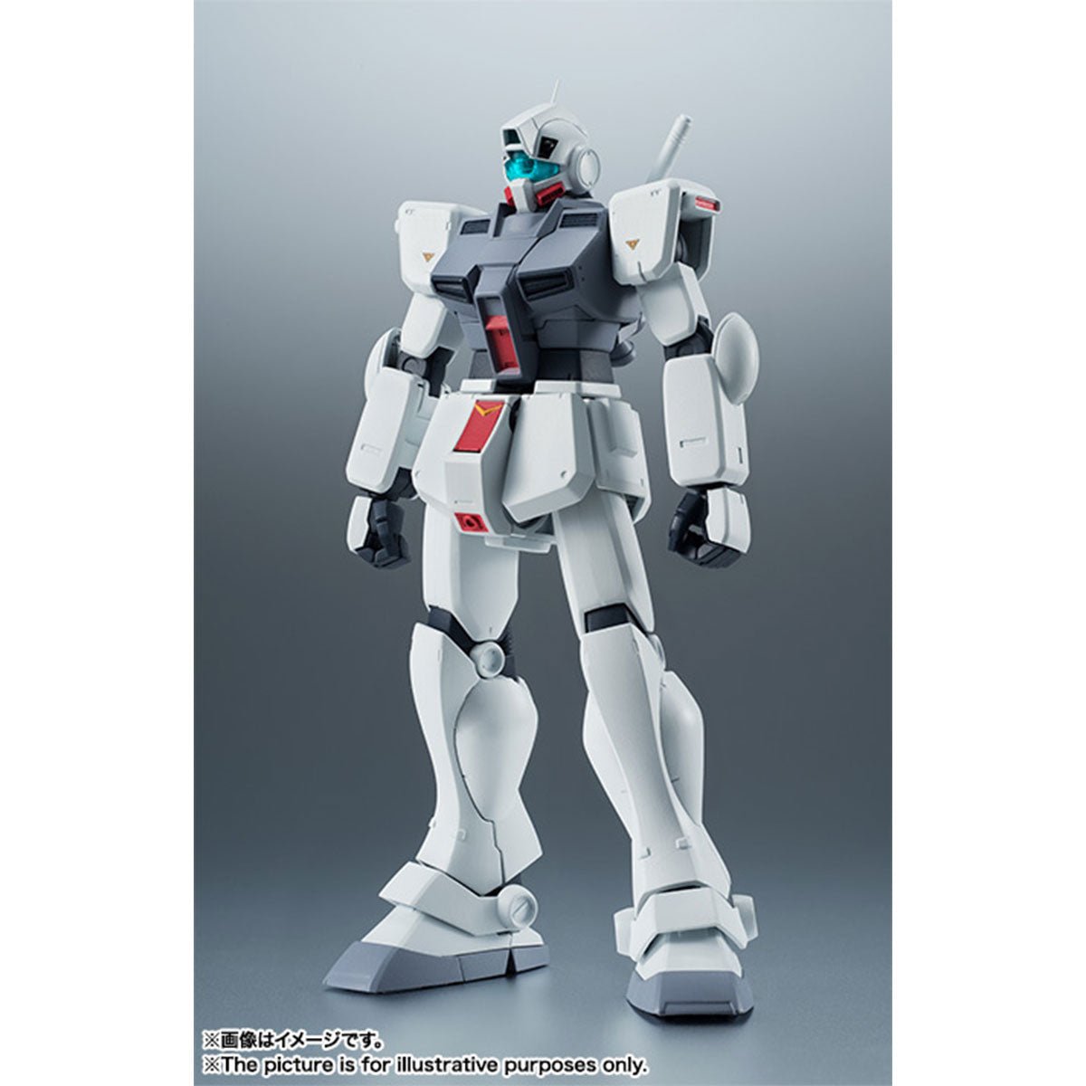 BANDAI [ROBOT魂] RGM - 79D 寒帶型吉姆 ver. A.N.I.M.E. (再販) - Microworks ACG
