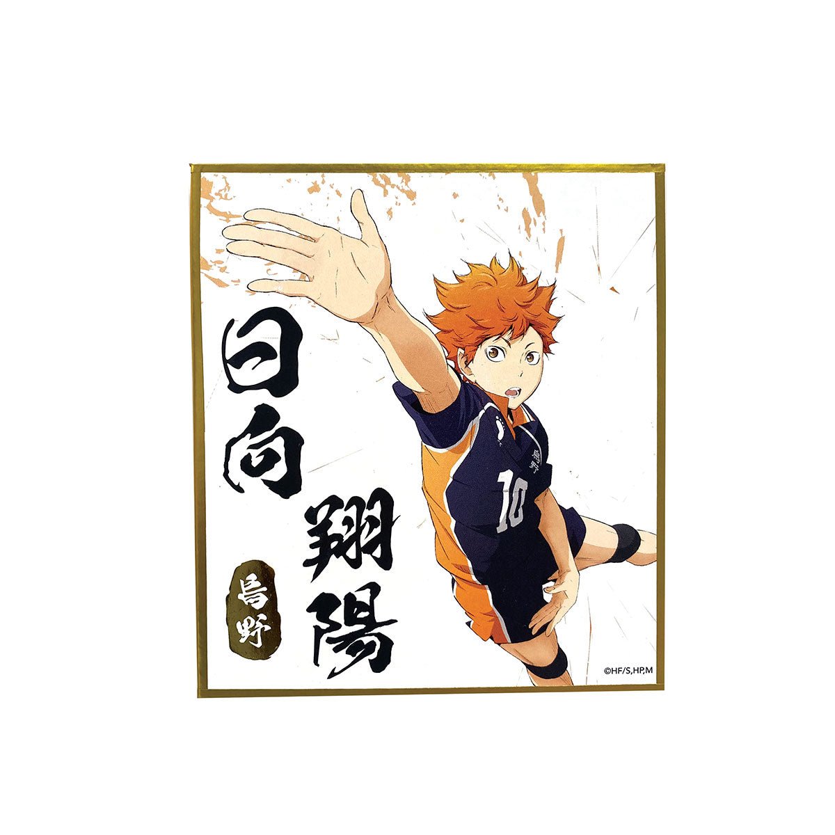 排球少年!! 色紙 日向翔陽 - Microworks ACG