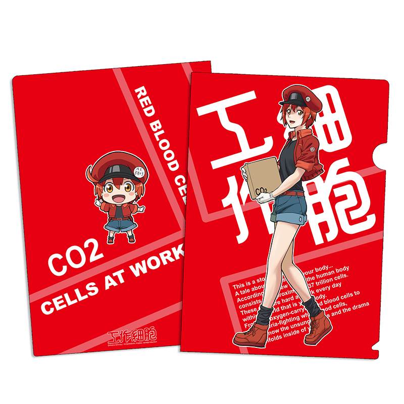 工作細胞 A4文件夾 A款 紅血球 文具 Microworks Online Store