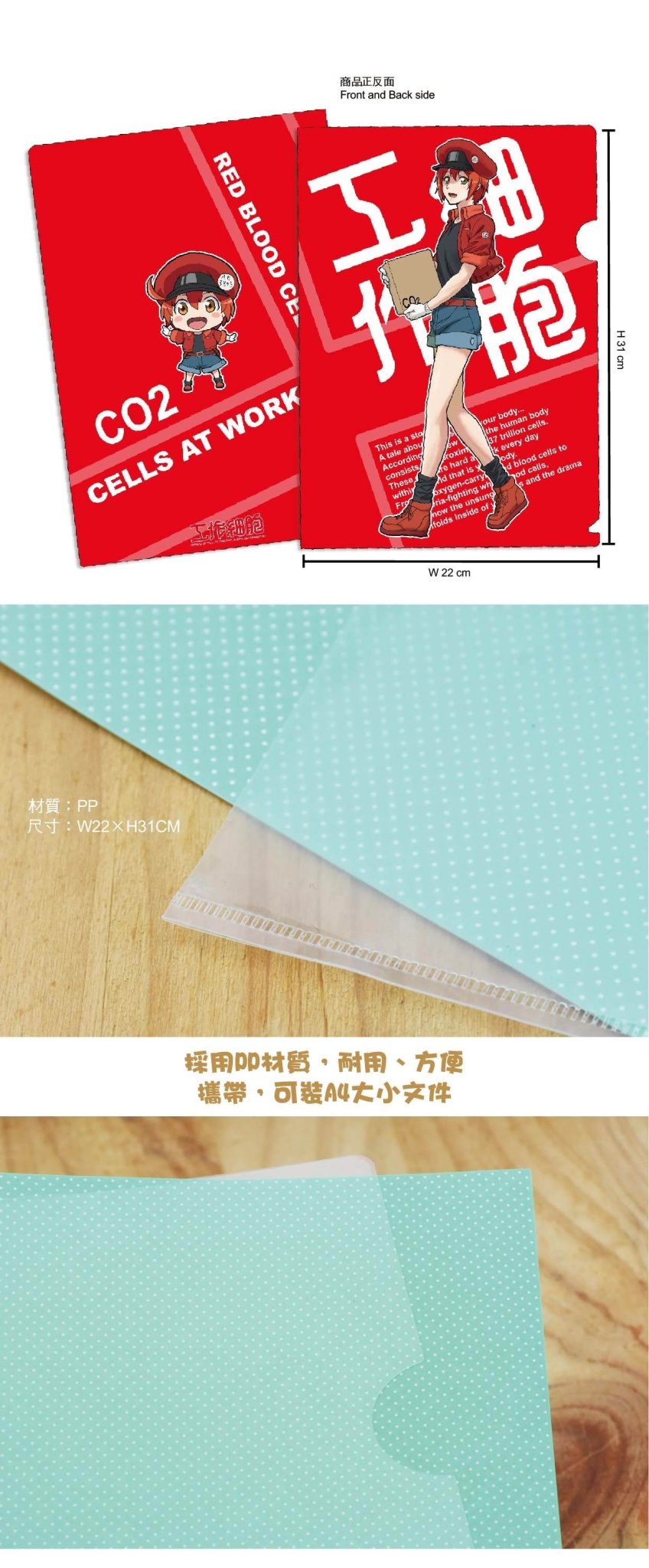 工作細胞 A4文件夾 A款 紅血球 - Microworks ACG