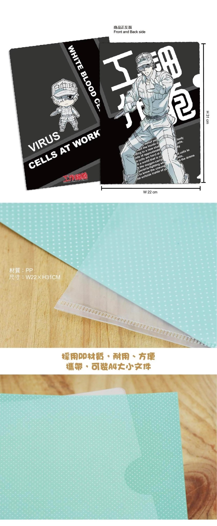 工作細胞 A4文件夾 B款 白血球 - Microworks ACG