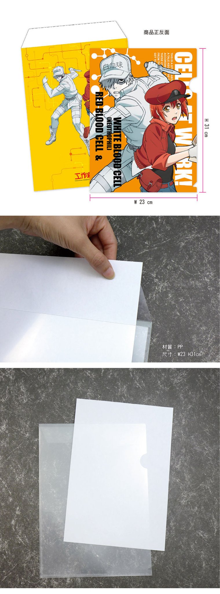 工作細胞 A4文件套 A款 白血球+紅血球 - Microworks ACG