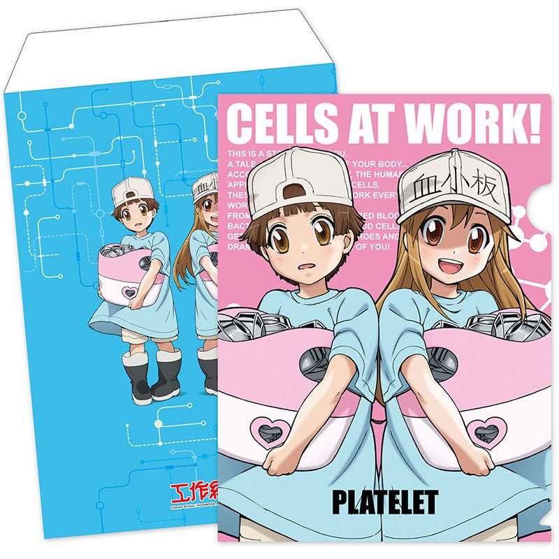 工作細胞 A4文件套 B款 血小板們 - Microworks ACG