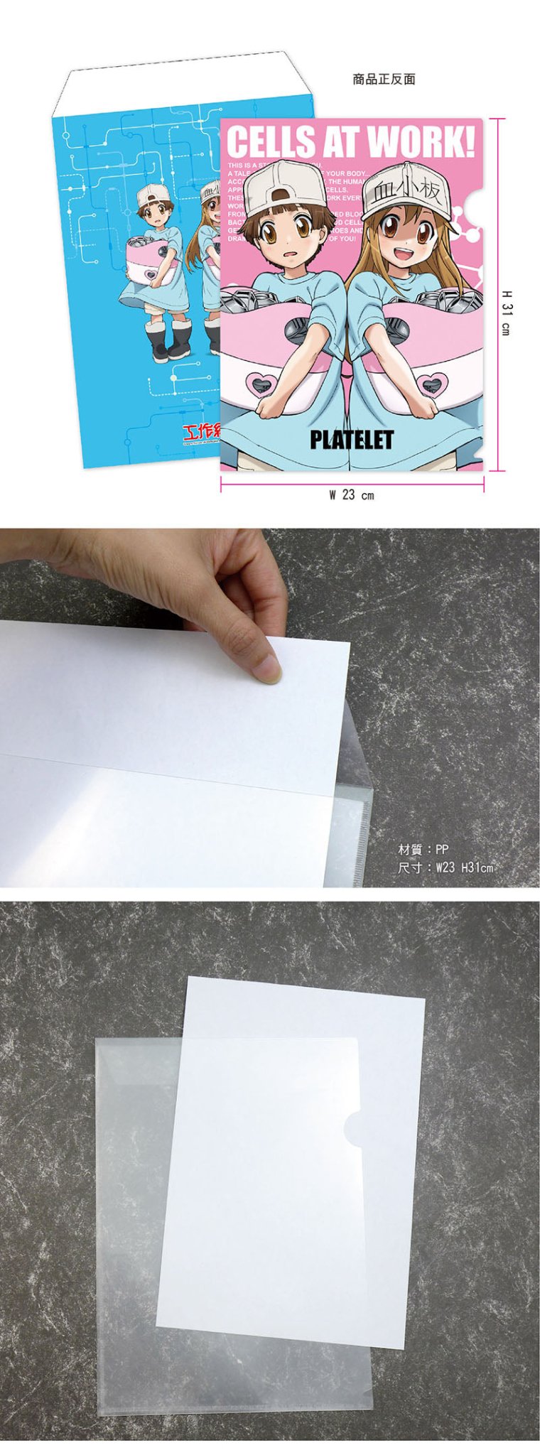 工作細胞 A4文件套 B款 血小板們 - Microworks ACG