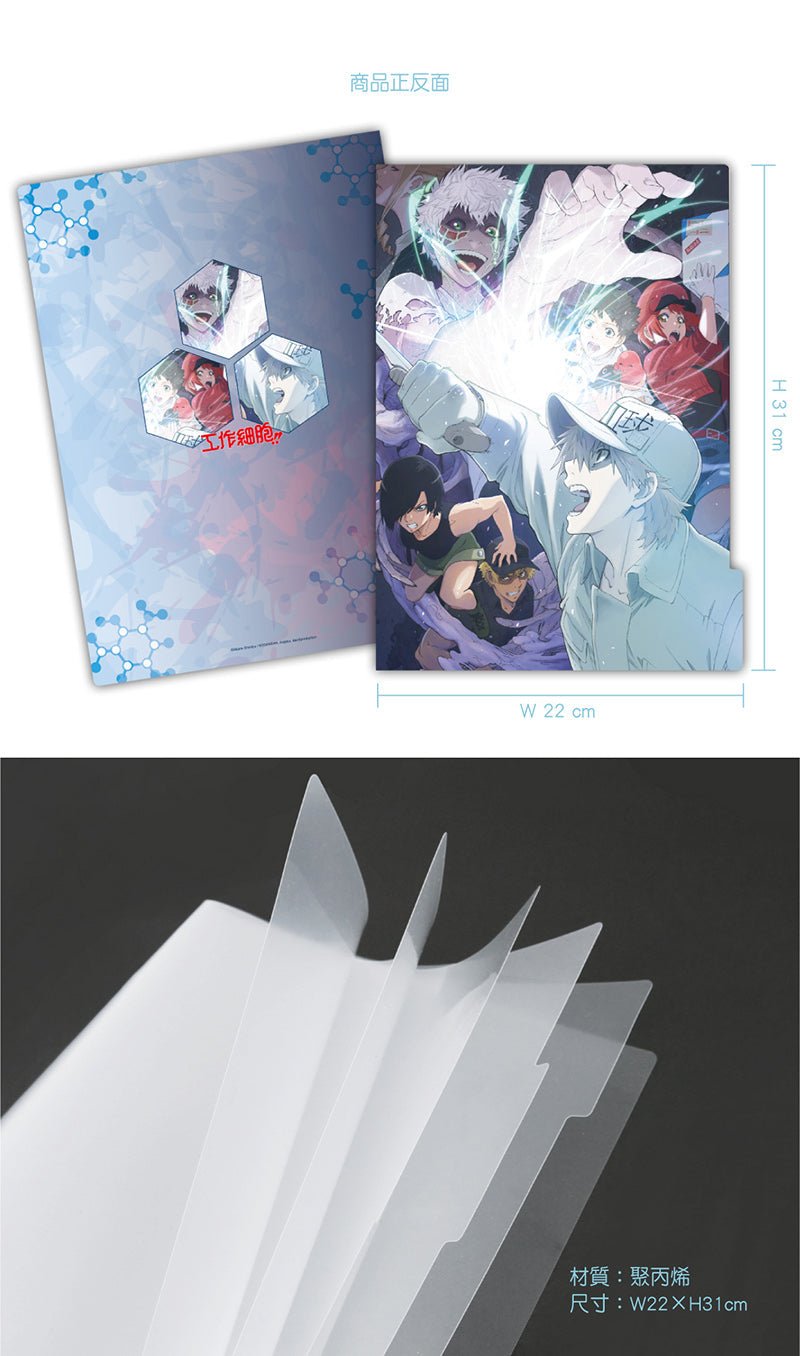 工作細胞 五層A4文件夾 A款 綜合 - Microworks ACG