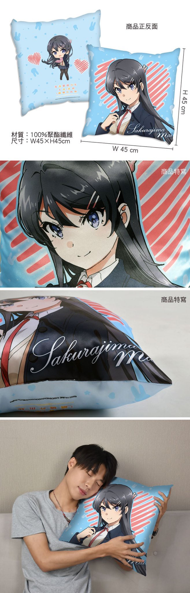 青春豬頭少年不會夢到嬌憐外出妹 抱枕(全彩45×45) A款 學姊 - Microworks ACG