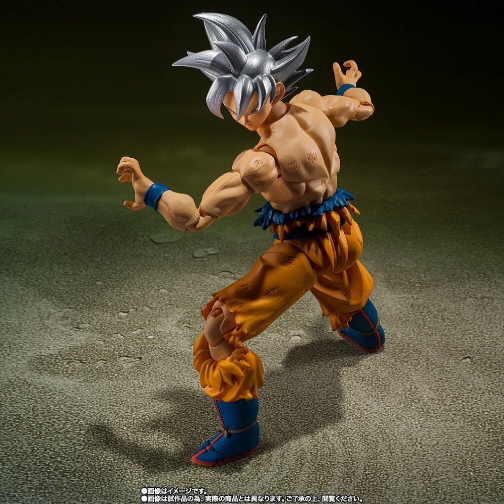 Bandai [魂SHOP限定] SHF 孫悟空 自在極意功 - 豐太郎 Edition - Microworks ACG