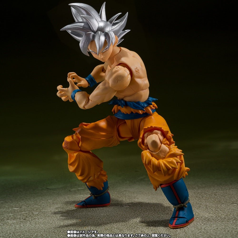 Bandai [魂SHOP限定] SHF 孫悟空 自在極意功 - 豐太郎 Edition - Microworks ACG