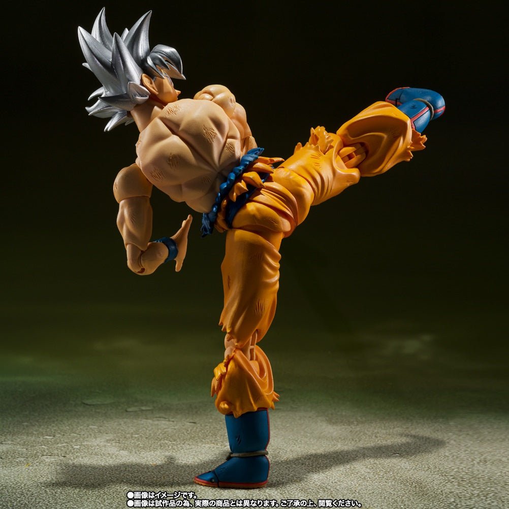 Bandai [魂SHOP限定] SHF 孫悟空 自在極意功 - 豐太郎 Edition - Microworks ACG