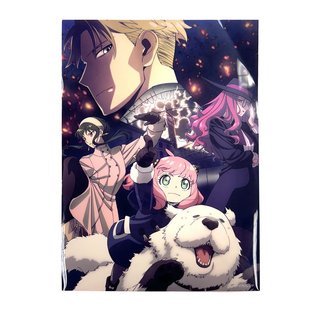 SPY×FAMILY 間諜家家酒 A4文件夾 B款 - Microworks ACG